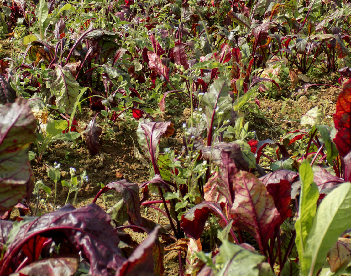 easy ways to put your health first this summer easy ways to put your health first this summer