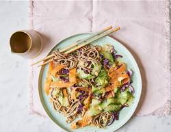 Vegan Ginger and Mint Noodle Salad Recipe