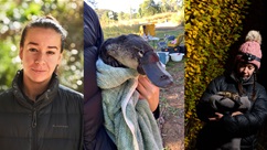 Mastering Music with Coco and the Cockatoos