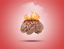 This Is Your Brain on Climate Change