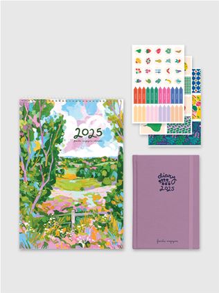 2025 d+c bundle