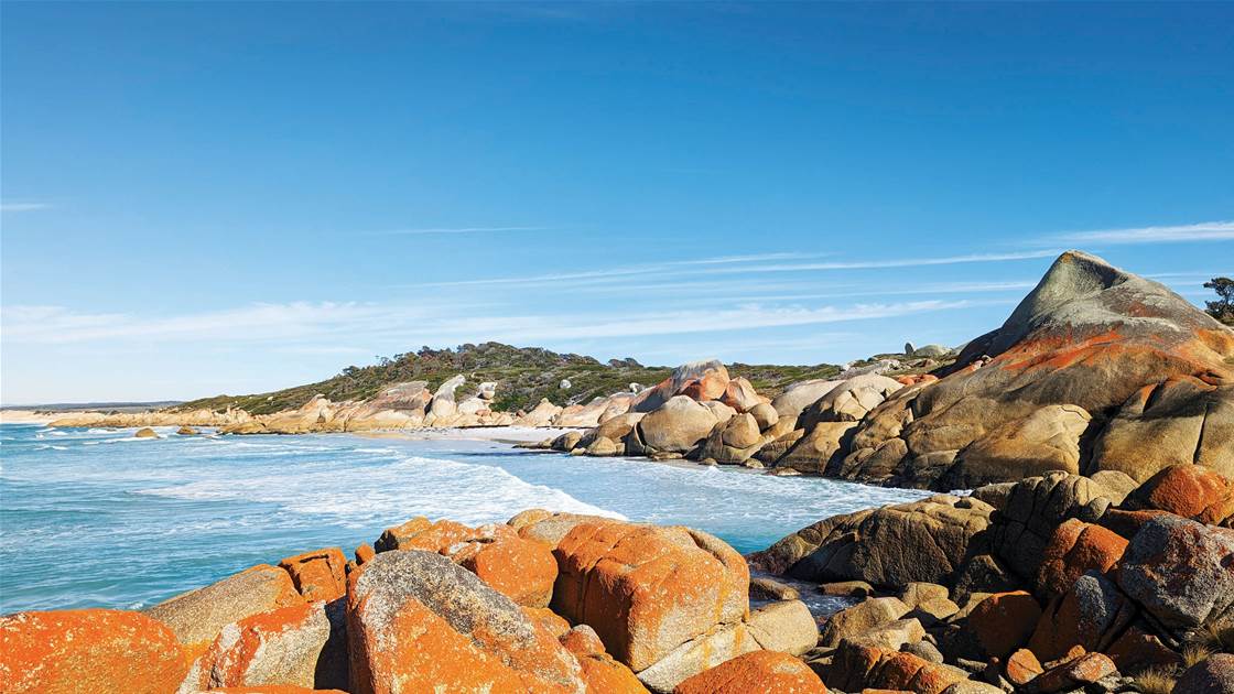 Tasmania's Bay of Fires Tasmania's Bay of Fires