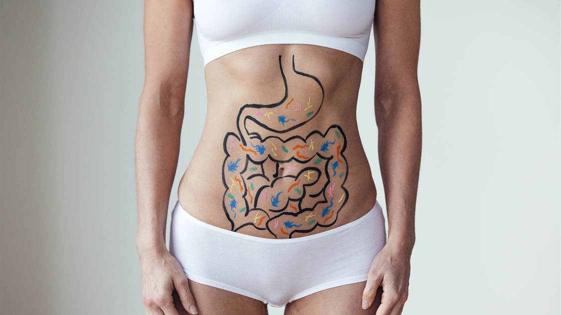 Woman in white activewear with illustrated digestive system on torso, highlighting gut health and microbiome awareness Woman in white activewear with illustrated digestive system on torso, highlighting gut health and microbiome awareness