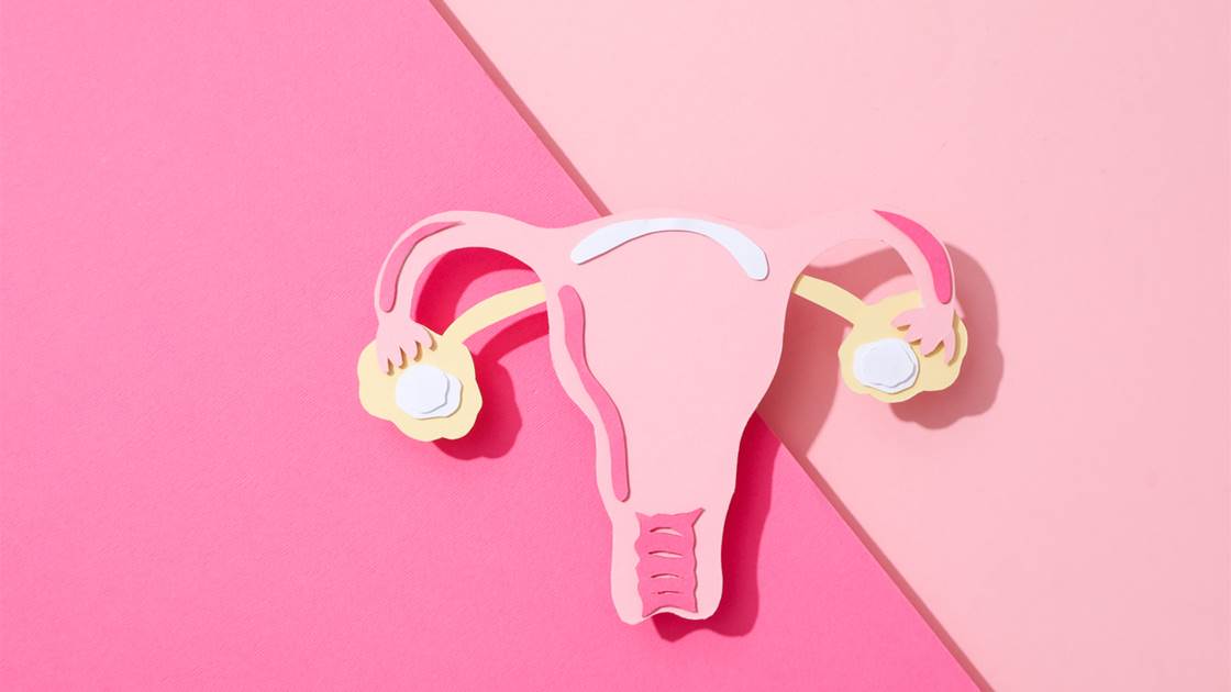 Illustration of female reproductive system highlighting PCOS vs perimenopause Illustration of female reproductive system highlighting PCOS vs perimenopause