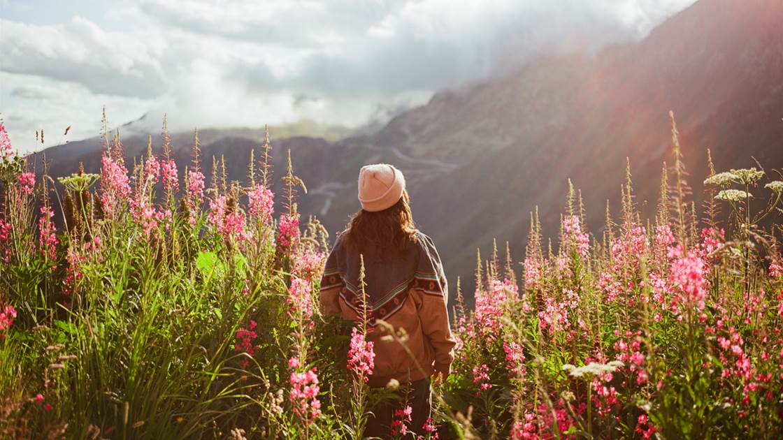 Spring Escapes: Where to See Australia in Full Bloom