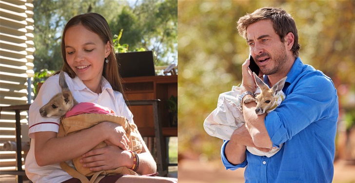 Meet The Stars of Kangaroo Meet The Stars of Kangaroo