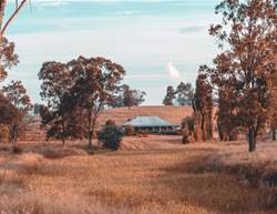 Escape to the Country