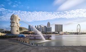 Singapore&#8217;s growing emergence as hub for start-ups in the maritime IT sector