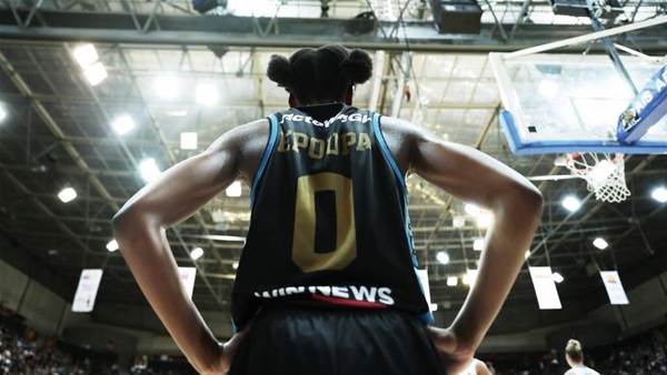 Major stars up for grabs as WNBL free agency period opens