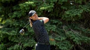 Baddeley eyes Playoffs as Hodges wins 3M Open