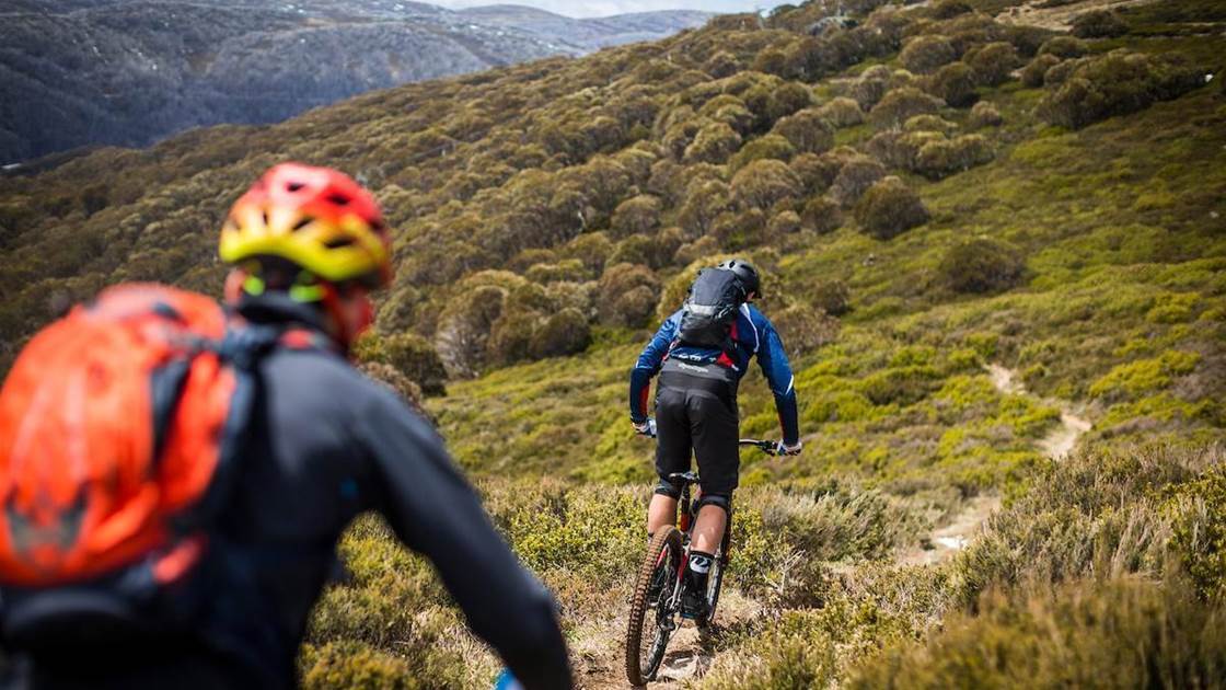 Understanding insurance for mountain biking