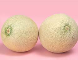 Breast Health FAQs: Your Questions Answered