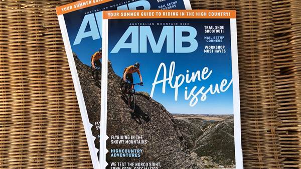 In this Issue - AMB #179