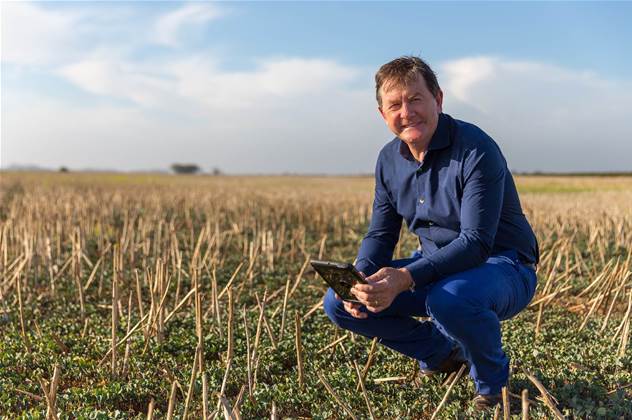 CSIRO bets the farm on new AI platform for agriculture analytics