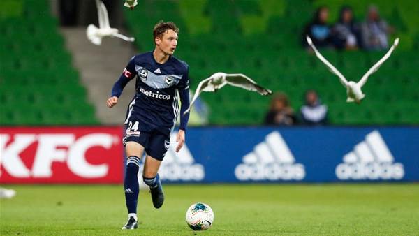 Former Victory A-League midfielder signs for Wanderers