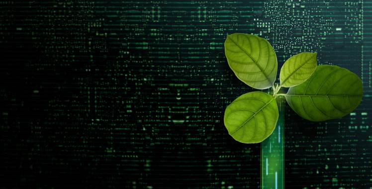 Emissions, diversity and trust focus areas for Australia tech sector: TCA