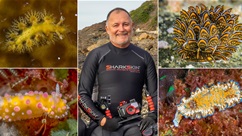 Mastering Music with Coco and the Cockatoos