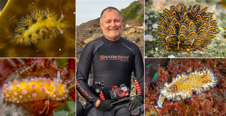 Meet A Sea Slug Expert Meet A Sea Slug Expert