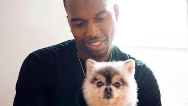 Daniel Sturridge: A-League striker ordered to pay $41576 for dog