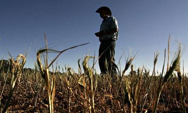 GrainCorp builds payments engine into grain marketplace