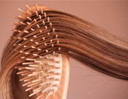 The Difference Between Hair Shedding Vs. Hair Loss
