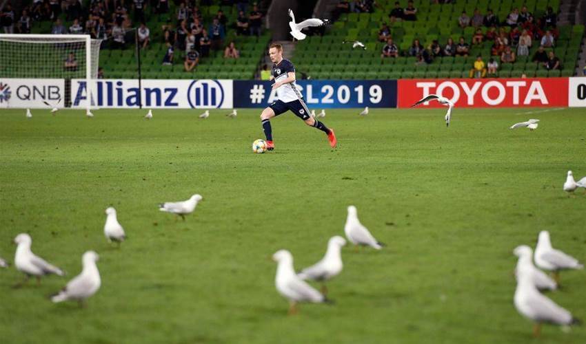 Melbourne Victory vs Daegu FC Player Ratings Melbourne Victory vs Daegu FC Player Ratings