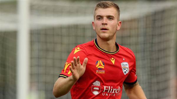 Reds bemused by '$5m bids' for Adelaide ace McGree