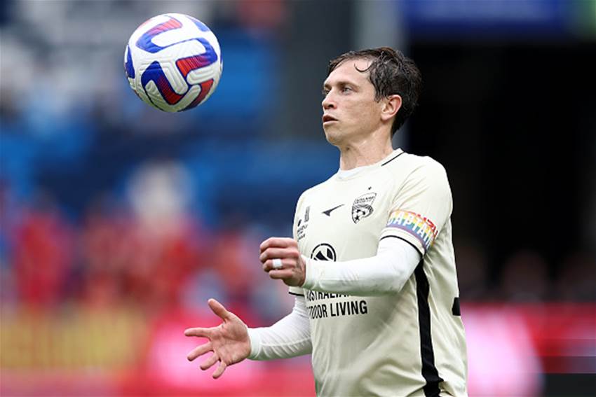 Adelaide A-League skipper adopts Zlatan persona for World Cup bid Adelaide A-League skipper adopts Zlatan persona for World Cup bid