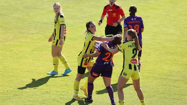 Dragged by the hair: A-League players banned after on-pitch fight