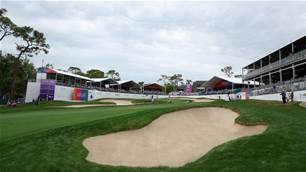 Aussies stumble, play suspended at Valspar Championship