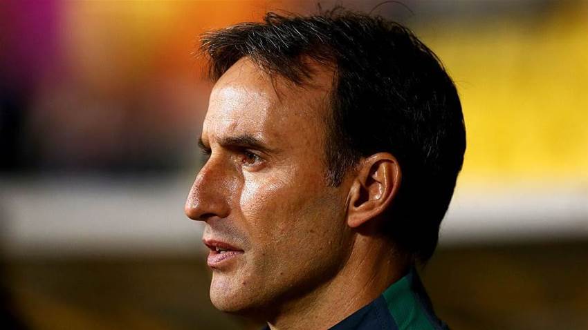 Could Aurelio Vidmar save Phoenix? Could Aurelio Vidmar save Phoenix?