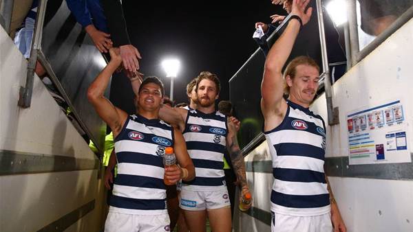 Home grown dynasty still evident at the Cattery
