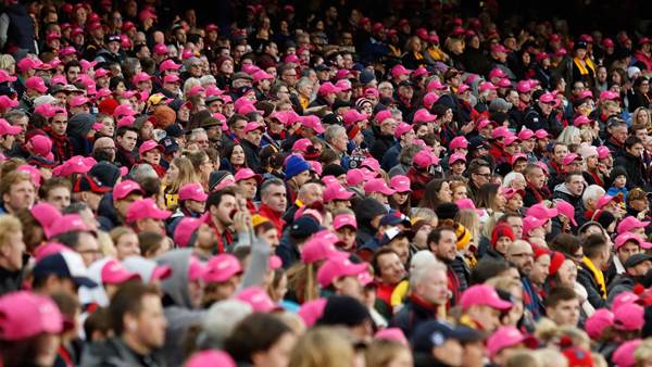 ICC reveals 39 percent of cricket fans are females