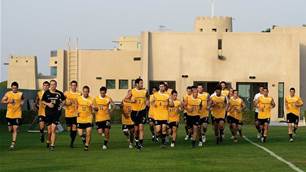 AIS return not suited to 'different' Australia says Cole