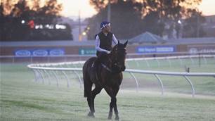 Horse race abandoned after menacing steel stakes found on track