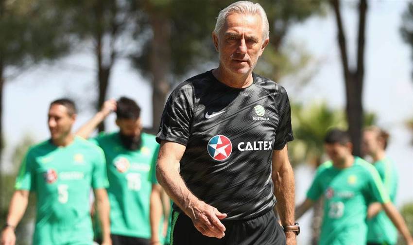 Socceroos coach pays for own assistants Socceroos coach pays for own assistants