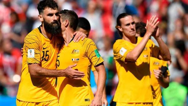 Socceroos' France clash a ratings winner for SBS
