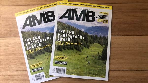 In this Issue - AMB #178