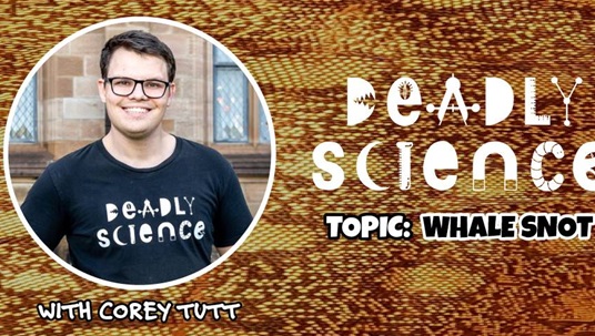 Deadly Science: Whale Snot