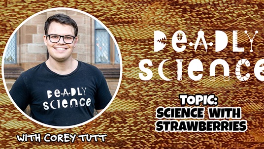 Deadly Science: Science With Strawberries