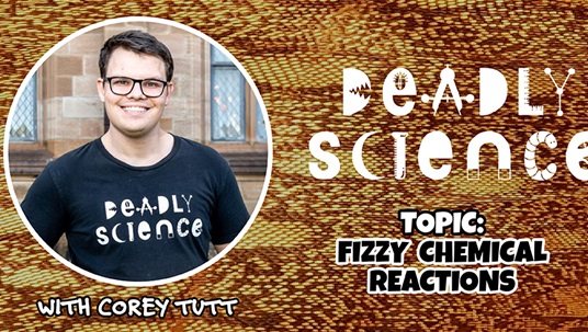 Deadly Science: Fizzy Chemical Reactions