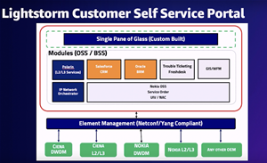 Lightstorm builds self-service portal on AWS for enterprise customers