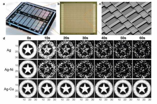 Researchers build brain-on-a-chip