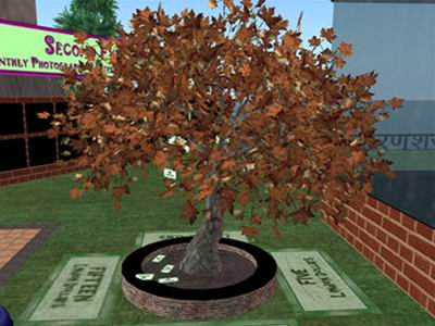 Virtual world Second Life to enforce anti-money laundering regs