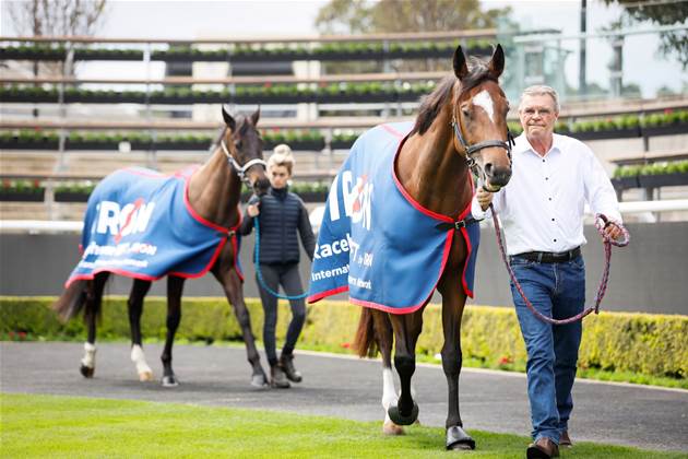 International Racehorse Owners Network launches NFTs