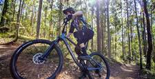 TESTED: Norco Fluid FS A3