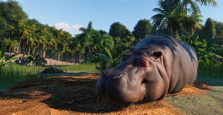 Playing Now: Planet Zoo Playing Now: Planet Zoo