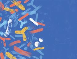 All About “Biotics” and Gut Health