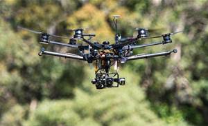QUT sends koala-seeking drones on post-bushfire census