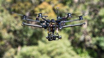 QUT sends koala-seeking drones on post-bushfire census